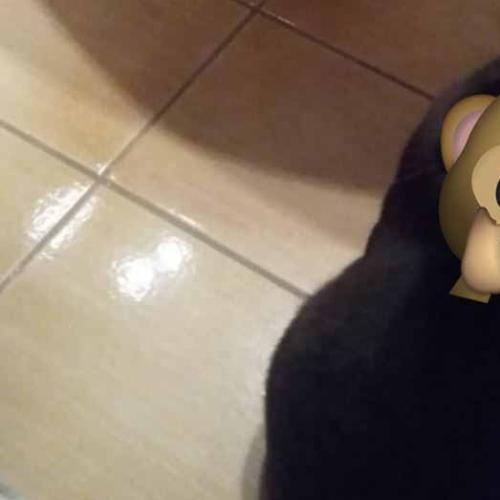 Why This Photo Of A Crow Is Freaking The Internet Out