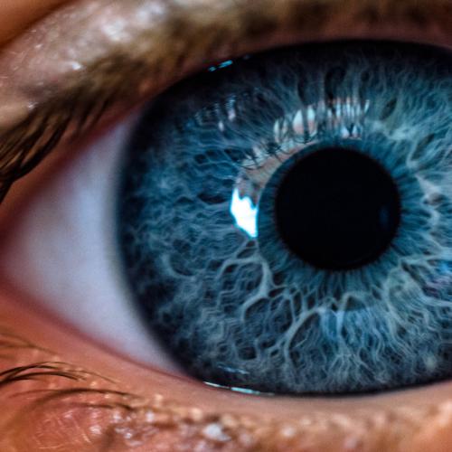 Macula Month: An Eye-Opening Fact For Every Aussie Over 50