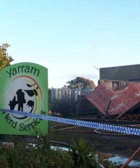 Massive Explosion At Victorian Cattle Breeding Plant Means Someone's Having A Terrible Day