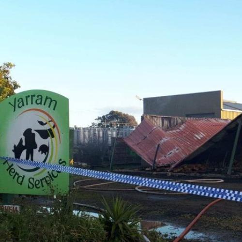 Massive Explosion At Victorian Cattle Breeding Plant Means Someone's Having A Terrible Day