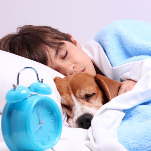 A Study Has Found Sleeping Next To A Dog Improves Your Sleep