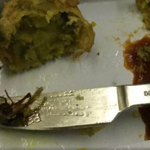 Horrified Passenger Makes Gruesome Discovery In Onboard Meal