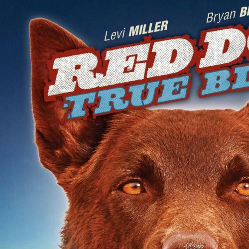 Trailer: Red Dog Film Prequel Released