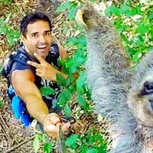 This Sloth Selfie Has Caused the Internet to Lose its Mind