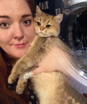 Woman Uses Potato Peeler To Save Her Cat From Drowning In Washing Machine