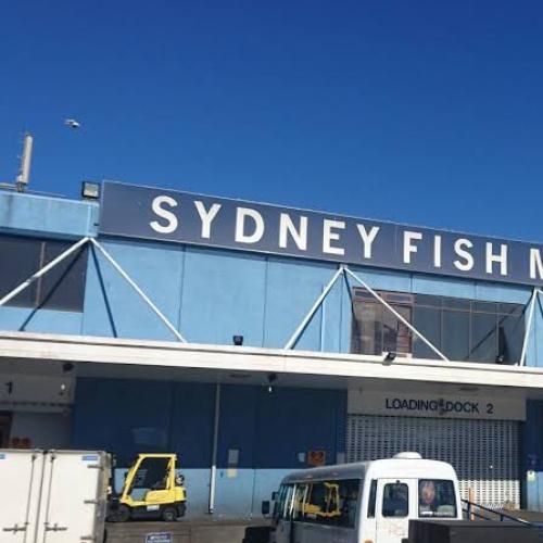 The Amount Of Fish Being Sold At Sydney's Fish Market Is Incredible