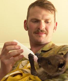 Aussie Soldiers Show Their Softer Side By Treating Bushfire-Affected Wildlife
