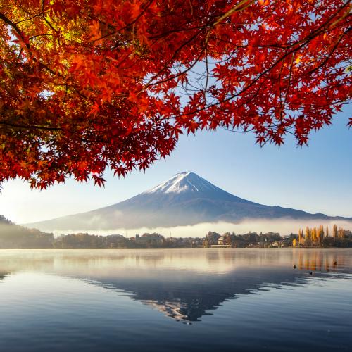 5 Amazing Things To Do In Japan