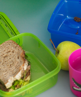 The Lunchbox Shaming Has Already Begun & It's Not Even The End of the Week