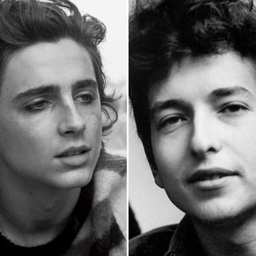Timothée Chalamet Reportedly Cast As Bob Dylan In Upcoming Biopic