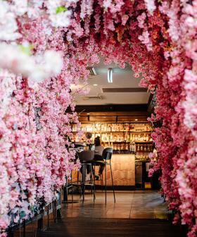This Sydney Rooftop Bar Has Transformed Into An Insta-Perfect Cherry Blossom Wonderland