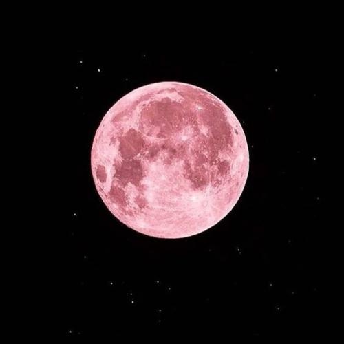 How To See April’s Pink Super Moon Light Up The Sky Tonight