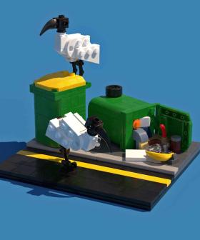 Here's How To Create An Aussie Bin Chicken Scene Out Of LEGO