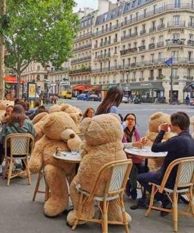 Parisian Cafe Uses Giant Teddy Bears To Enforce COVID-19 Restrictions