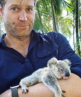 Dr. Chris Brown Will Be Hosting A Virtual School Excursion To The Port Macquarie Koala Hospital