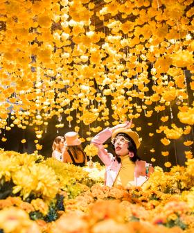 The World’s Most Instagrammable Exhibit ‘Happy Place’ Is Reopening In Sydney
