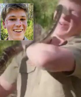 Robert Irwin Cops Snake Bite To The Face Similar To Attack On Steve Decades Earlier