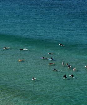 Sydney’s Popular Beaches To Be Patrolled By Drones In Bid To Prevent Shark Attacks