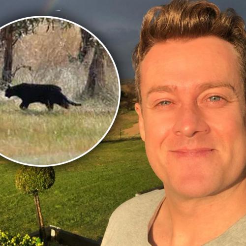 Grant Denyer Has PROOF That The Mysterious Blue Mountains Panther Is Real