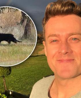 Grant Denyer Has PROOF That The Mysterious Blue Mountains Panther Is Real