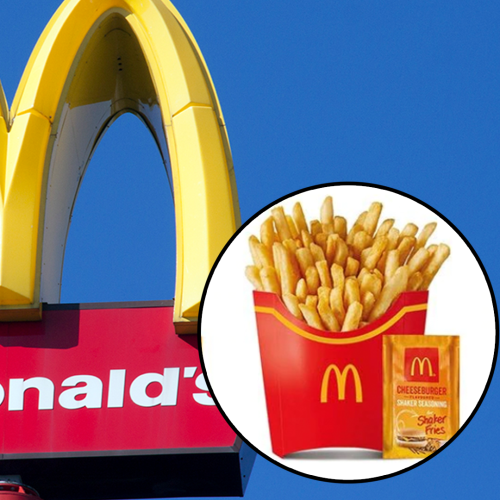 NOT A DRILL: McDonald's Is Bringing Back Their Cheeseburger Shaker Fries