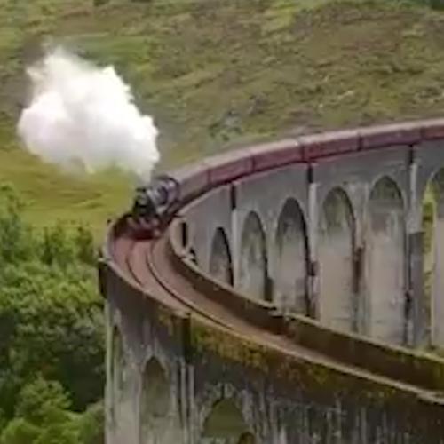 Commuter Train BLOCKS Harry Potter Fans' View Of The Hogwarts Express