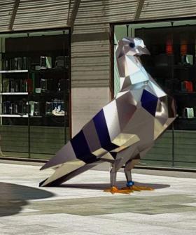 This Aussie Mall Has A New Sculpture... And It's A $174,000 Giant Pigeon!