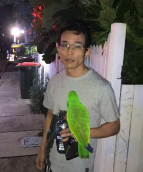 "Anton! Anton!": Parrot Saves Owner From House Fire