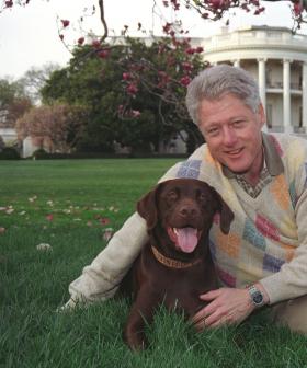 http://President%20William%20Jefferson%20Clinton%20posing%20with%20Buddy%20the%20Dog%20outside%20of%20the%20White%20House,%20April%206,%201999.%20Image%20courtesy%20National%20Archives.%20(Photo%20via%20Smith%20Collection/Gado/Getty%20Images).