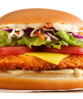 McDonald's Has Created A Burger Dedicated To Chicken Schnittys