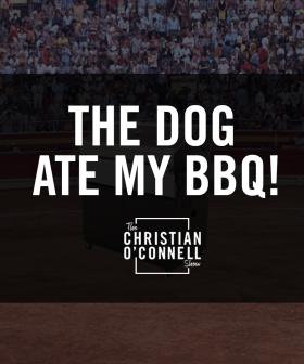 The Dog Ate My BBQ!