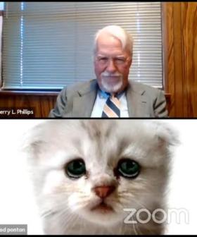 Lawyer Stuck On Zoom Filter Assures Judge He Is 'Not A Cat' During Court Hearing