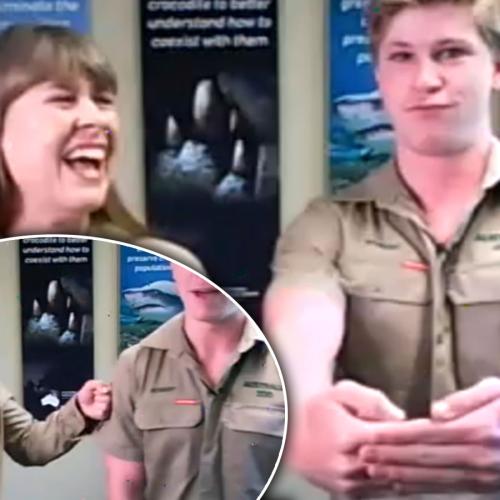"She’s Just Massive": Robert Irwin's Hilarious Comments About Bindi’s Pregnancy