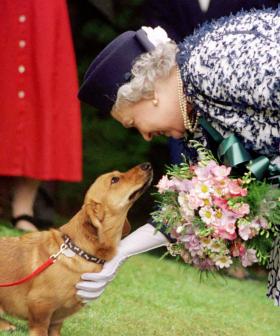 The Queen's Two New Dogs Are Helping Her Cope With The Death Of Prince Philip