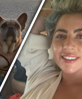 'Good Samaritan' Who Claimed $500k Reward For Returning Lady Gaga's Dogs Arrested