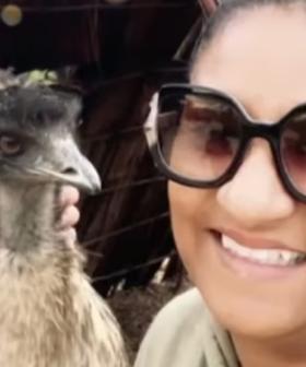 Emu EATS A Woman's $550 Earring As She Leans In To Snap A Selfie At Sydney Zoo