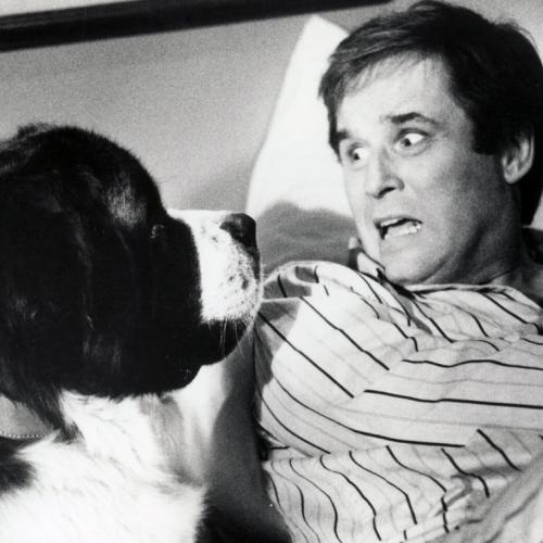 Charles Grodin, Best Known For Roles In 'The Heartbreak Kid' And 'Midnight Run', Dies At 86