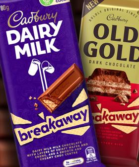Cadbury Have Just Brought Back The Breakaway Choccy Block