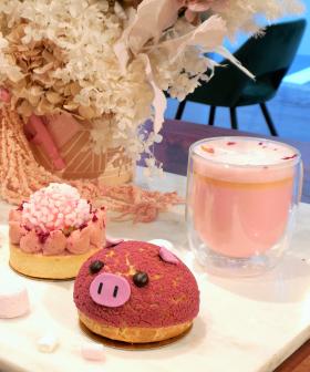 Doux Amour Are Doing Pink Lattes & Piggie Choux Pastry's For National Pink Day!