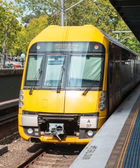 Sydney Public Transport Services Have Been Halved For The Next Fortnight