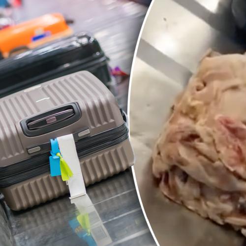 Unpacked Raw Chicken Takes A Ride Around Airport's Baggage Carousel