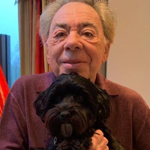 Andrew Lloyd Webber HATED The 'Cats' Movie So Much He Bought A DOG!
