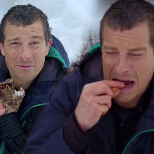 Bear Grylls Opens Up About His Experience Of Eating BEAR POO!