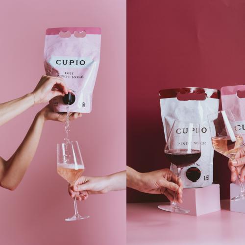 You Can Now Buy Pinot Noir And Rose In A Classy Portable Bag Of Wine! 
