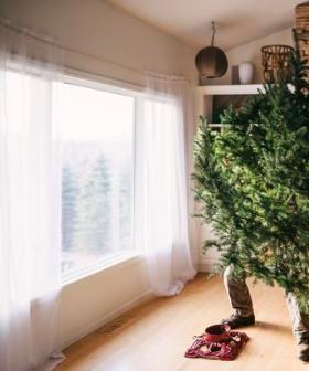 When Should You Put Away Christmas Decorations? The 'Official' Guide!