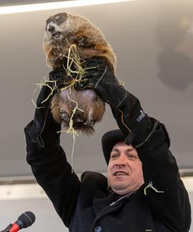 The Internet Mourns Death of Weather Predicting Groundhog