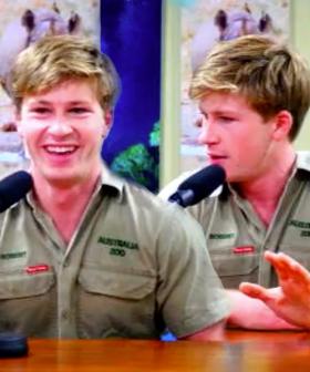 Would Robert Irwin Prefer To Be Stuck In An Enclosure With A Crocodile Or Alligator?