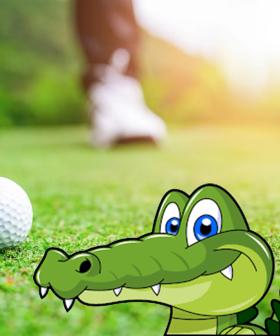How To Make Golf Interesting... Add An Alligator!