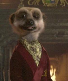The World's Most Well-Known Meerkats Pulled Ads Over Conflict