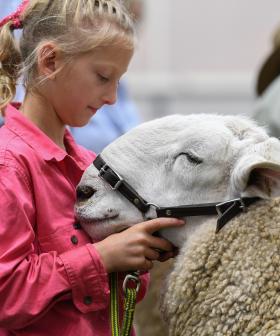 NSW Royal Agricultural Society, Host Of The Sydney Royal Easter Show, Turns 200!